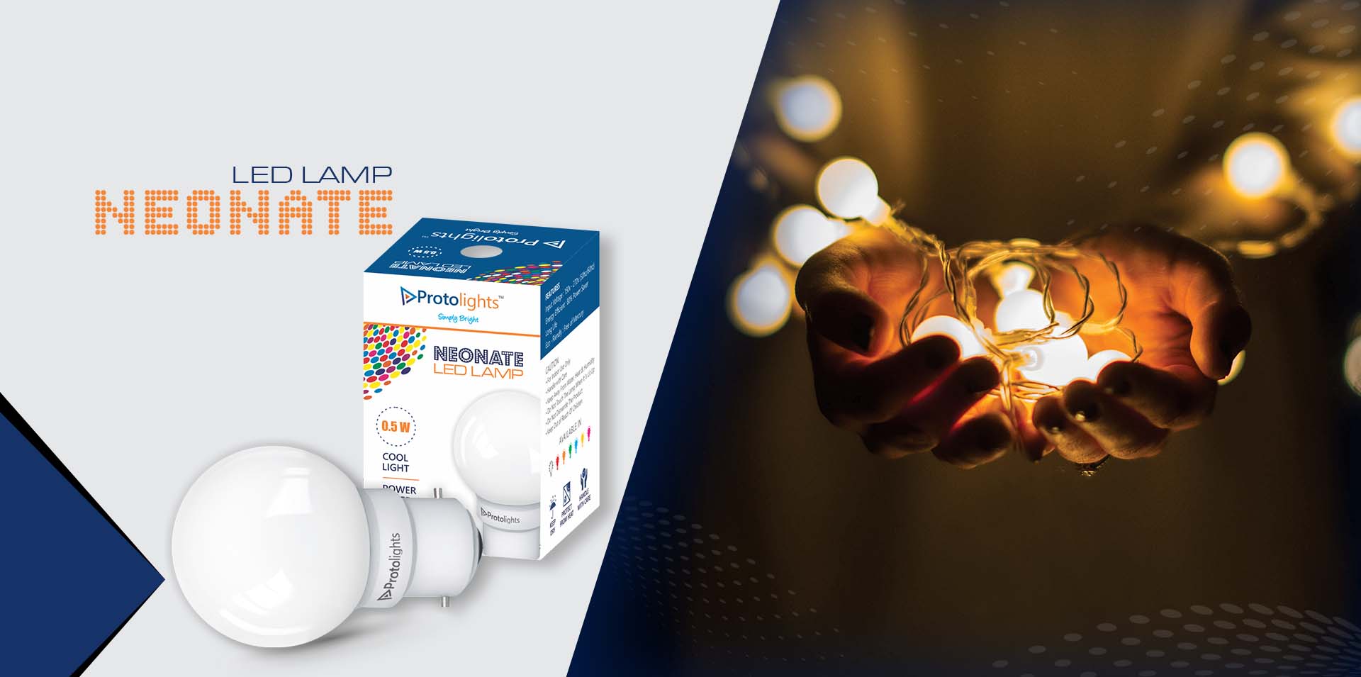 Portfolio Details Image